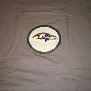 Pottery Barn Teen NFL BALTIMORE RAVENS Patch Duvet Cover